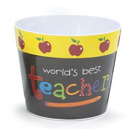 0485304 World's Best Teacher Plastic Pot Cover 