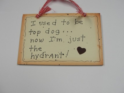  35243 - I Used to Be Top Dog....Now I'm just the hydrant! wood sign