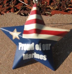 OR225 - Proud Marines - Metal Star 